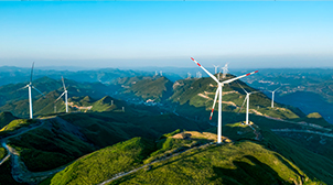 �����ʲ�����